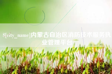 汝州内蒙古自治区消防技术服务执业管理平台