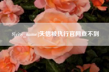 汝州失信被执行官网查不到