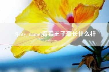 汝州看看王子豪长什么样