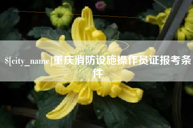 汝州重庆消防设施操作员证报考条件