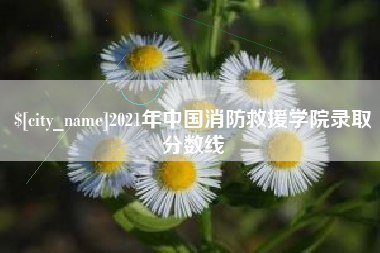 汝州2021年中国消防救援学院录取分数线