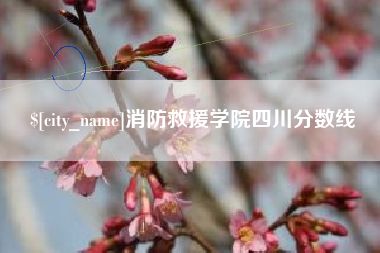 汝州消防救援学院四川分数线