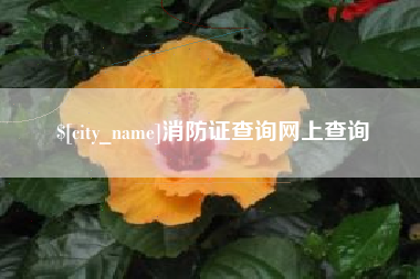 汝州消防证查询网上查询