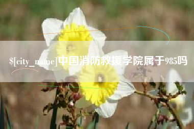 汝州中国消防救援学院属于985吗