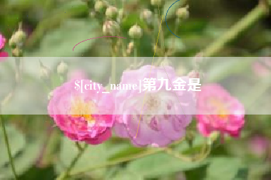 汝州第九金是