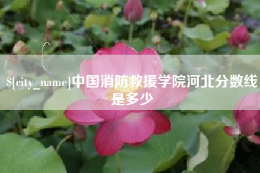 汝州中国消防救援学院河北分数线是多少
