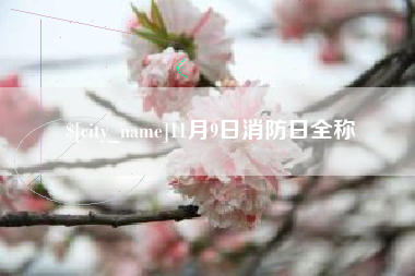 汝州11月9日消防日全称