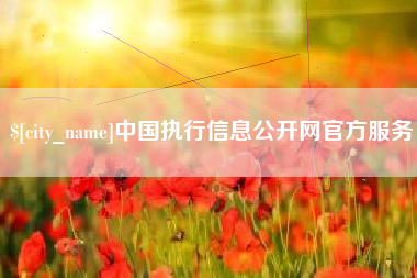 汝州中国执行信息公开网官方服务