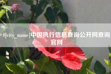 汝州中国执行信息查询公开网查询官网