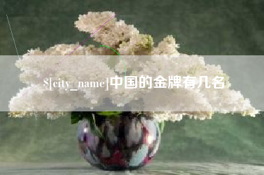 汝州中国的金牌有几名