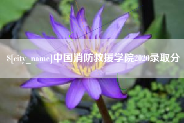 汝州中国消防救援学院2020录取分