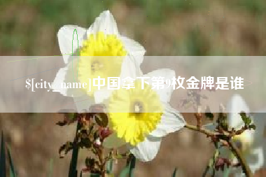 汝州中国拿下第9枚金牌是谁