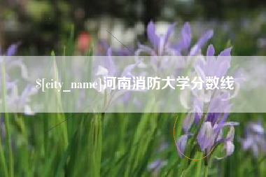 汝州河南消防大学分数线