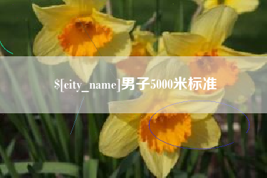 汝州男子5000米标准