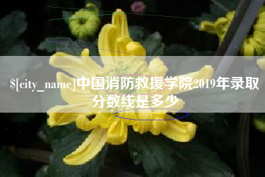 汝州中国消防救援学院2019年录取分数线是多少