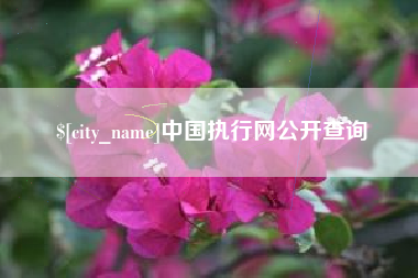 汝州中国执行网公开查询
