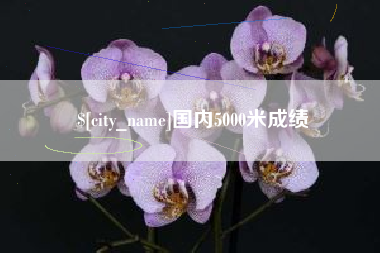 汝州国内5000米成绩
