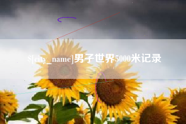 汝州男子世界5000米记录