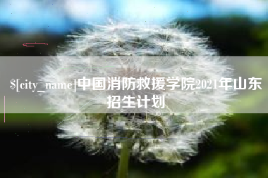 汝州中国消防救援学院2021年山东招生计划