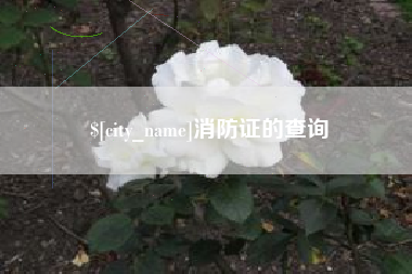 汝州消防证的查询