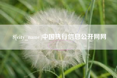 汝州中国执行信息公开网网