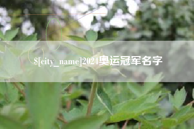 汝州2024奥运冠军名字