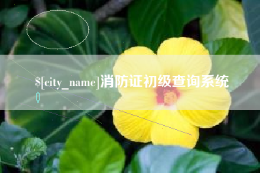 汝州消防证初级查询系统