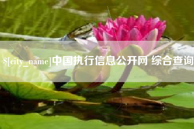 汝州中国执行信息公开网 综合查询
