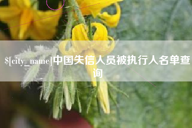 汝州中国失信人员被执行人名单查询