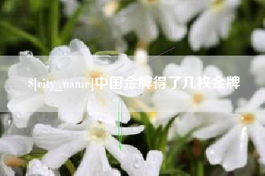 汝州中国金牌得了几枚金牌