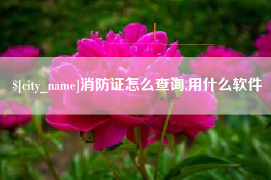 汝州消防证怎么查询,用什么软件