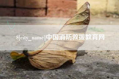 汝州中国消防救援教育网