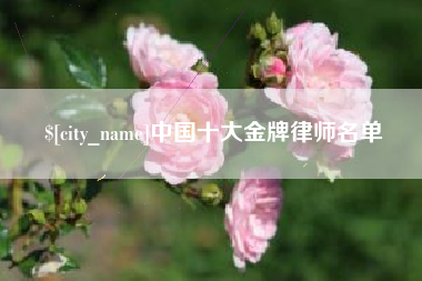 汝州中国十大金牌律师名单