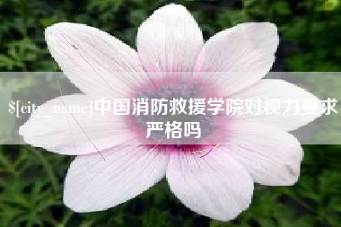 汝州中国消防救援学院对视力要求严格吗