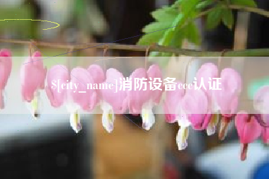 汝州消防设备ccc认证