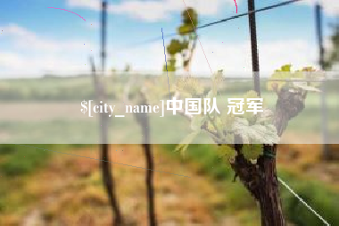 汝州中国队 冠军