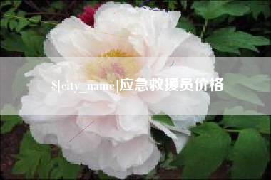 汝州应急救援员价格