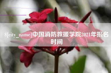 汝州中国消防救援学院2021年报名时间