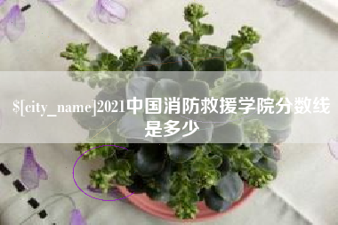 汝州2021中国消防救援学院分数线是多少
