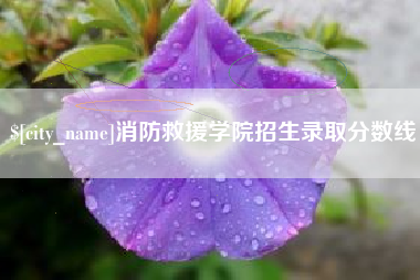 汝州消防救援学院招生录取分数线