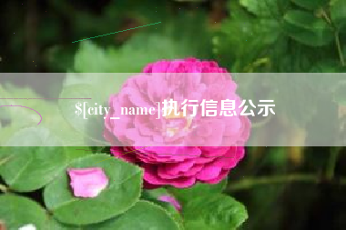 汝州执行信息公示