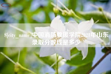 汝州中国消防救援学院2021年山东录取分数线是多少