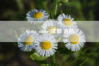 汝州成都 消防