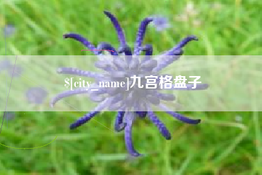 汝州九宫格盘子