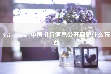 汝州中国执行信息公开网是什么东西