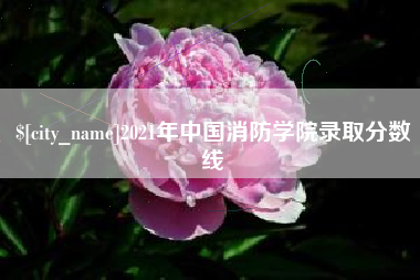 汝州2021年中国消防学院录取分数线