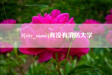 汝州有没有消防大学