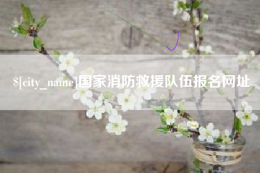 汝州国家消防救援队伍报名网址