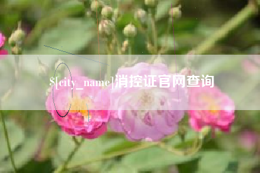 汝州消控证官网查询