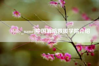 汝州中国消防救援学院介绍
